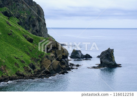 [Rebun Island] Momodai Nekodai Observatory 116012258