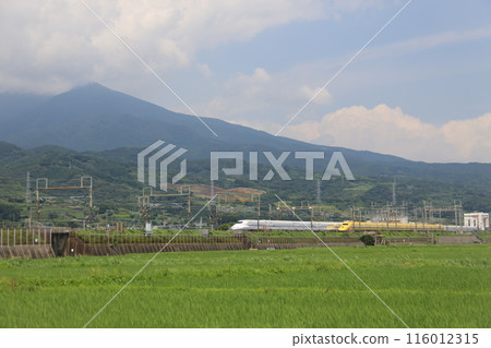 黃醫生、新幹線和稻田 黃醫生、新幹線和稻田 116012315