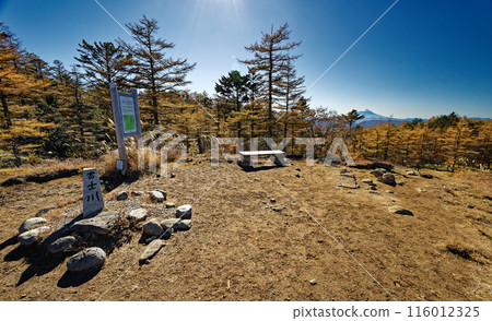 Yellow leaves of larch trees and Mt. Fuji seen from the watershed near Mt. Kasatori Yellow leaves of larch trees and Mt. Fuji seen from the watershed near Mt. Kasatori 116012325