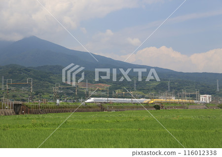 黃醫生、新幹線和稻田 黃醫生、新幹線和稻田 116012338