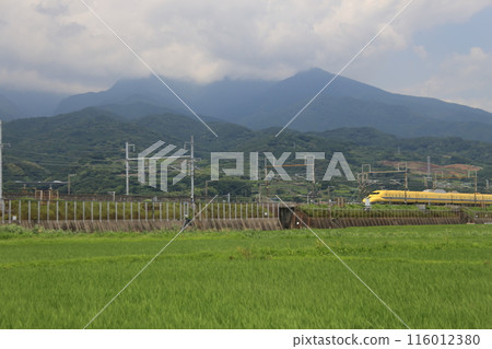 Doctor Yellow and rice fields Doctor Yellow and rice fields 116012380