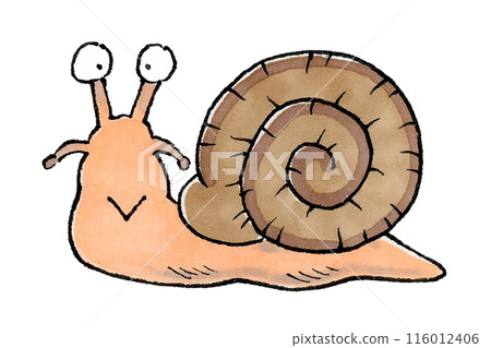 snails  116012406
