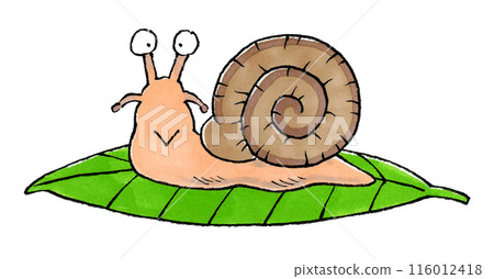 Snail on a leaf Snail on a leaf 116012418