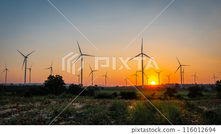 Landscape of Wind turbine farm in beautiful nature with sunset blackground, generating electricity in Nakorn Ratchasima Thailand Landscape of Wind turbine farm in beautiful nature with sunset blackground, generating electricity in Nakorn Ratchasima Thailand 116012694