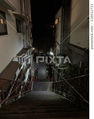 Ikaho Onsen, Behind Ichifuji Hotel, Night, Winter 2020 Ikaho Onsen, Behind Ichifuji Hotel, Night, Winter 2020 116012733
