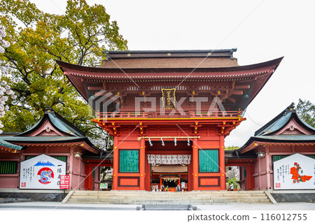 Fujinomiya, Japan April 8, 2024: People visit Fujisan Hongu Sengen Taisha Shinto Shrine where cherry blossoms are blooming on a rainy day at Shizuoka, Japan Fujinomiya, Japan April 8, 2024: People visit Fujisan Hongu Sengen Taisha Shinto Shrine where cherry blossoms are blooming on a rainy day at Shizuoka, Japan 116012755