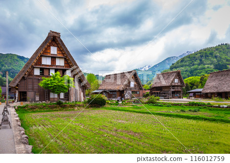 Landscape Traditional and Historical Japanese village Shirakawago in Gifu Prefecture Japan, Gokayama has been inscribed on the UNESCO World Heritage List due to its traditional Gassho-zukuri houses 116012759