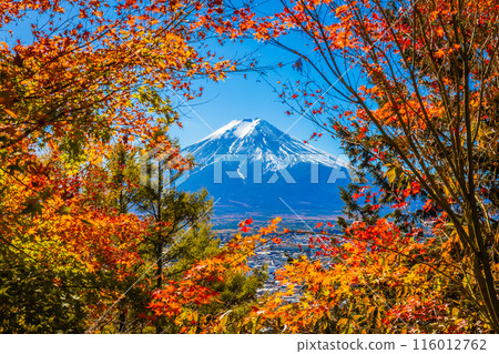 Mount Fuji framed with red maple leaves beautifully in autumn. Mount Fuji framed with red maple leaves beautifully in autumn. 116012762