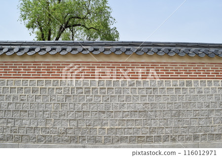 Gyeongbokgung Palace Wall 116012971