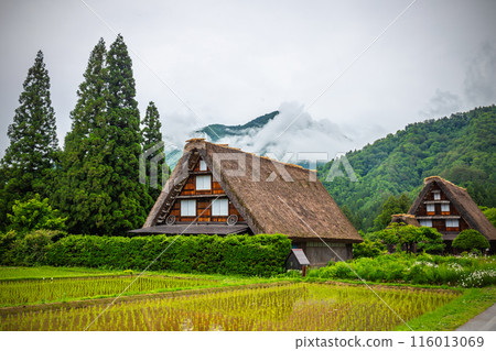 Landscape Traditional and Historical Japanese village Shirakawago in Gifu Prefecture Japan, Gokayama has been inscribed on the UNESCO World Heritage List due to its traditional Gassho-zukuri houses 116013069