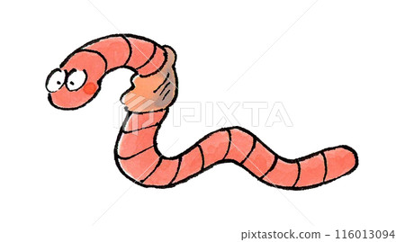 Earthworm 116013094