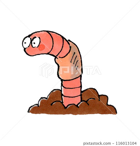 Earthworms coming out of the soil 116013104