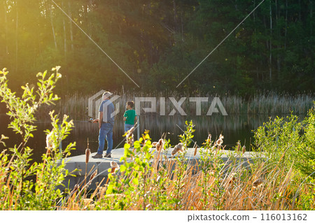 Dad is teaching a boy to fish in a lake among woods in summer. 116013162