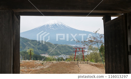 Gate to red torii of Asama Shrine with mt. fuji, Kawaguchiko lake 116013297