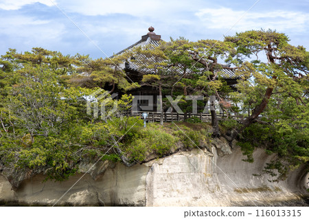 Matsushima Gojito 116013315