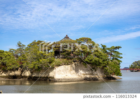 松島Gojito 116013324