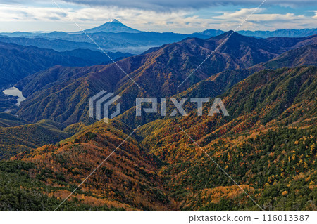 Mt. Fuji and Hirose Dam Lake in the morning as seen from the Todo Ridge of Mt. Kobushin 116013387