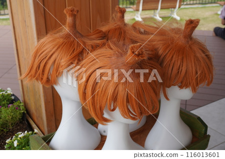 Onion Hair Onion Hair 116013601