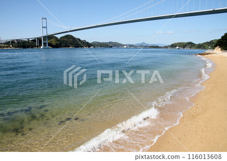 Kurushima Strait as seen from the sandy beach of Umajima Kurushima Strait as seen from the sandy beach of Umajima 116013608
