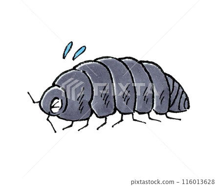 Troubled pillbug Troubled pillbug 116013628