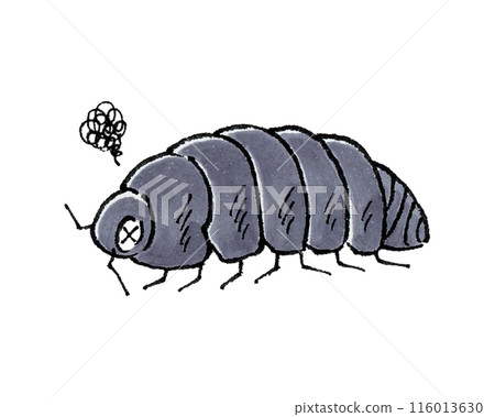 Dying pillbug 116013630