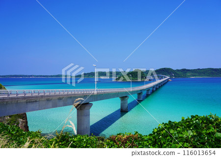 角島大橋 29 116013654