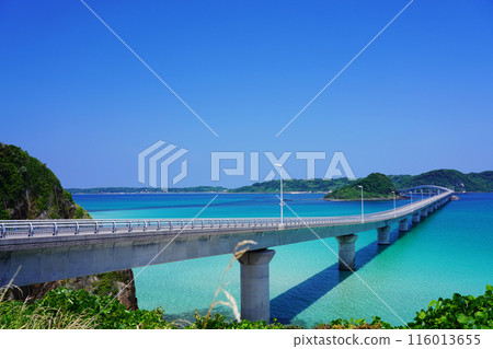 角島大橋 31 116013655