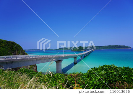 角島大橋 33 116013656