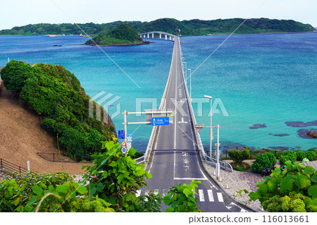 Tsunoshima Bridge 74 116013661