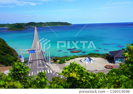 角島大橋 174 角島大橋 174 116013696
