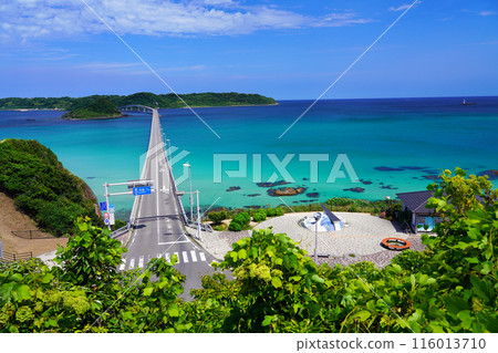 角島大橋 192 116013710