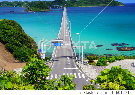 Tsunoshima Bridge 194 116013712