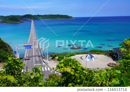 Tsunoshima Bridge 203 Tsunoshima Bridge 203 116013718