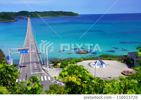 角島大橋 204 角島大橋 204 116013720