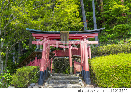 透過繡球花看到京都吉峰寺稻荷神社 透過繡球花看到京都吉峰寺稻荷神社 116013751