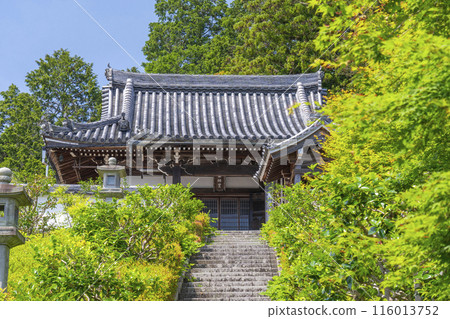 鮮綠的京都吉峰寺藥師堂 116013752