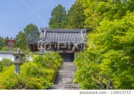 鮮綠的京都吉峰寺藥師堂 116013753