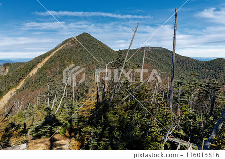 從奧道部山方向看去的奧道部山、甲部新嶽山、三房山 從奧道部山方向看去的奧道部山、甲部新嶽山、三房山 116013816