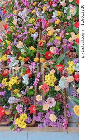 春天的花朵的集合 116013820