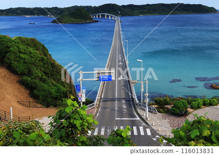 角島大橋 1003- 116013831