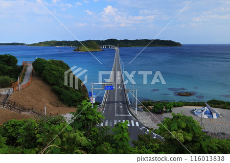 Tsunoshima Bridge 1025 Tsunoshima Bridge 1025 116013838