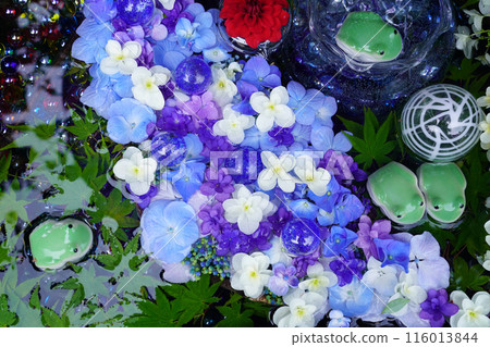 花手水9951 花手水9951 116013844