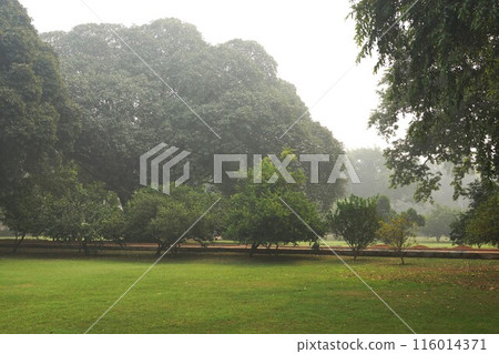 印度德里胡馬雍陵景觀 印度德里胡馬雍陵景觀 116014371