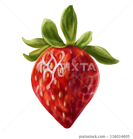 Juicy red strawberries with a twig. Ripe berry for healthy snacks, culinary dishes, milkshakes, cocktails, ice cream, jam. A natural dessert from a farmer's harvest. Isolated digital illustration Juicy red strawberries with a twig. Ripe berry for healthy snacks, culinary dishes, milkshakes, cocktails, ice cream, jam. A natural dessert from a farmer's harvest. Isolated digital illustration 116014605
