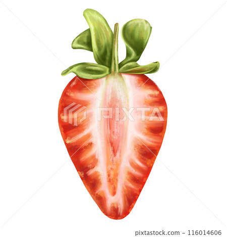 A juicy red half of a strawberry with a twig. Ripe berry for snacks, culinary dishes, milkshakes, cocktails, ice cream, jam. A natural dessert from a farmer's harvest. Isolated digital illustration A juicy red half of a strawberry with a twig. Ripe berry for snacks, culinary dishes, milkshakes, cocktails, ice cream, jam. A natural dessert from a farmer's harvest. Isolated digital illustration 116014606