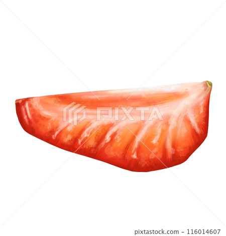 A juicy red half of a strawberry with a twig. Ripe berry for snacks, culinary dishes, milkshakes, cocktails, ice cream, jam. A natural dessert from a farmer's harvest. Isolated digital illustration A juicy red half of a strawberry with a twig. Ripe berry for snacks, culinary dishes, milkshakes, cocktails, ice cream, jam. A natural dessert from a farmer's harvest. Isolated digital illustration 116014607