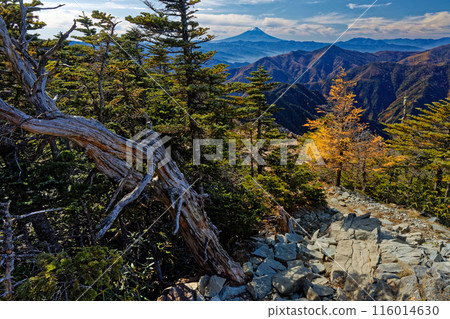 Mt. Fuji seen from the summit of Mt. Kobushin in autumn Mt. Fuji seen from the summit of Mt. Kobushin in autumn 116014630