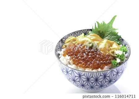 The best seafood bowl: Sea urchin and salmon roe bowl (white background) The best seafood bowl: Sea urchin and salmon roe bowl (white background) 116014711