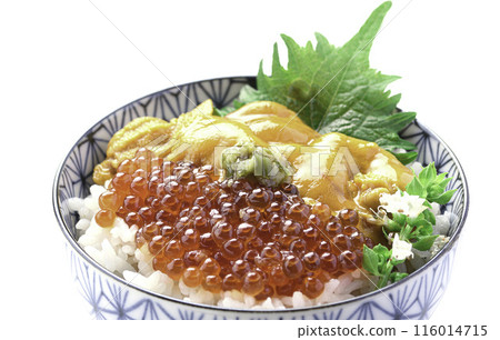 The best seafood bowl: Sea urchin and salmon roe bowl (white background) The best seafood bowl: Sea urchin and salmon roe bowl (white background) 116014715