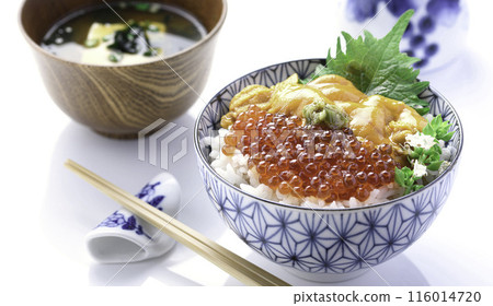 The best seafood bowl: Sea urchin and salmon roe bowl (white background) 116014720